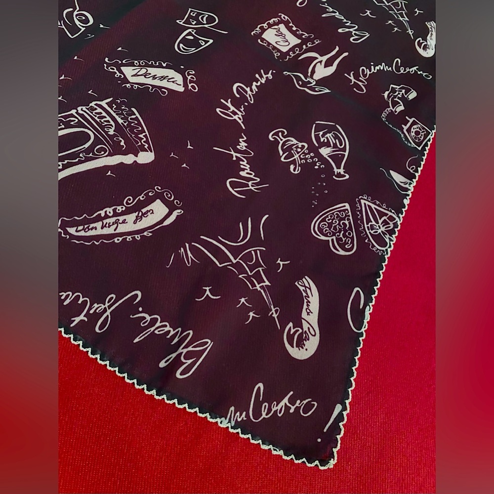 PARIS?! Sheer navy blue scarf with white scalloped edge, Parisian themed print.